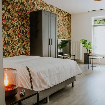 Luxe Studiomuseumgebiedeftelinguvt * تيلبورغ