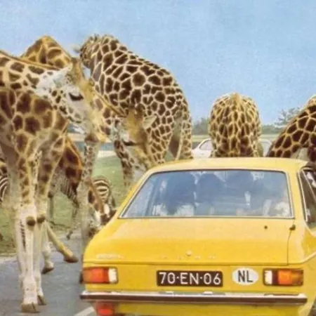 Luxe Studiomuseumgebiedeftelinguvt