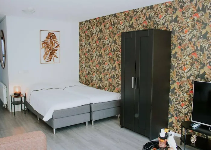 Luxe Studiomuseumgebiedeftelinguvt Tilburg