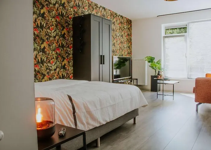 Luxe Studiomuseumgebiedeftelinguvt * Tilburg